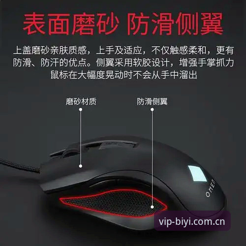 揭秘BSports必一体育2025新版：你不知道的b体育官方入口全新体验背后的真相